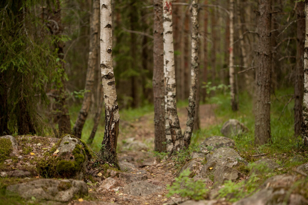 Karnaistenkorpi by Outdoors Finland CC BY 2.0