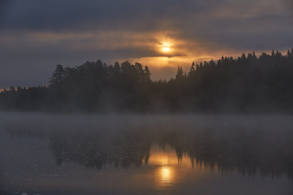 “Liesjärven kansallispuisto, Tammela, Finland” by Kanta-Hämeen kuvapankki, Public Domain Dedication (CC0)