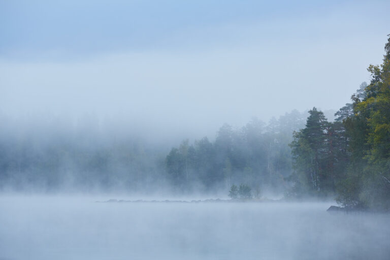 “Liesjärven kansallispuisto, Tammela, Finland” by Kanta-Hämeen kuvapankki, Public Domain Dedication (CC0)