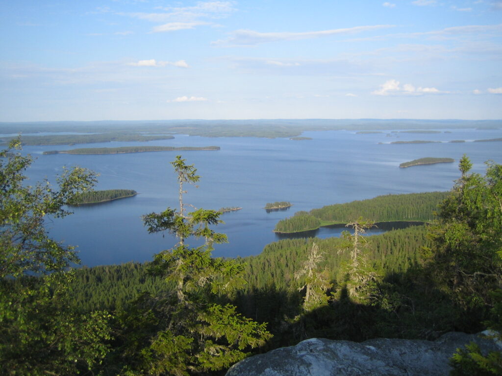 “Koli” by Asta P., Public Domain Dedication (CC0)