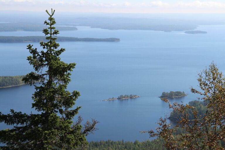 “Koli, Finland” by Andy Miccone, Public Domain Dedication (CC0)