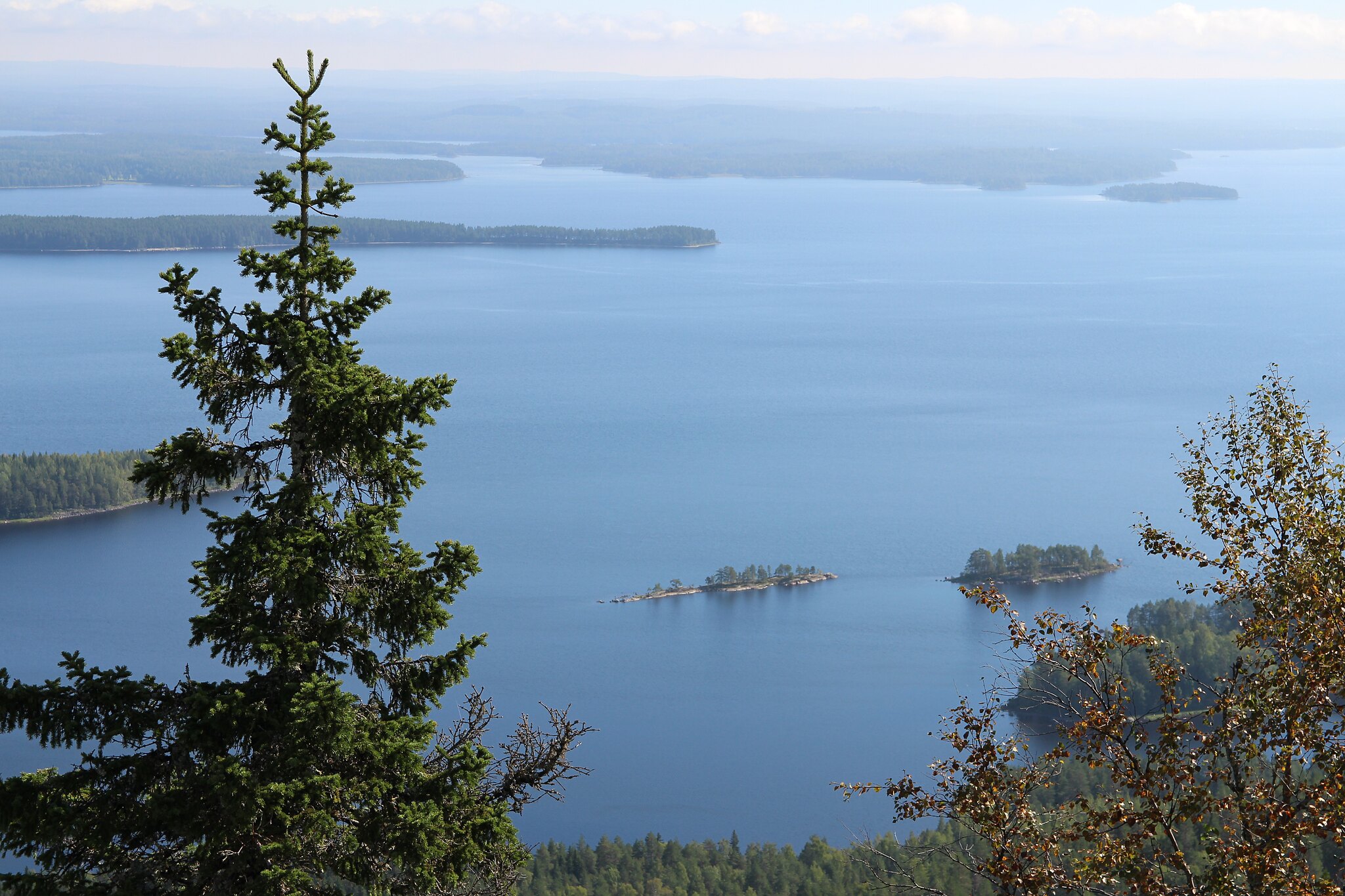 “Koli, Finland” by Andy Miccone, Public Domain Dedication (CC0)