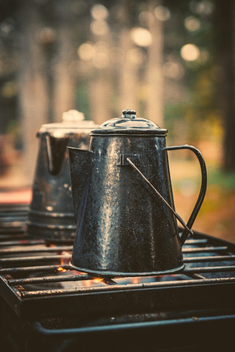 Photo by Todd Trapan on Unsplash